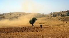 Klimawandel und Migration