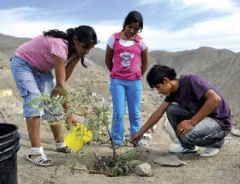 Ausschnitt aus Flyer