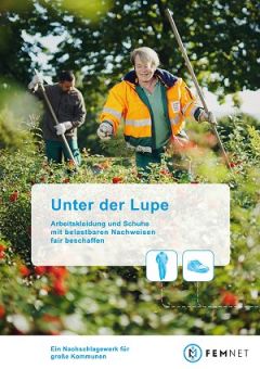 Cover Handbuch "Unter der Lupe"