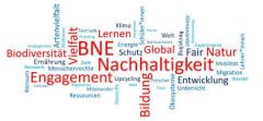 Logo bne